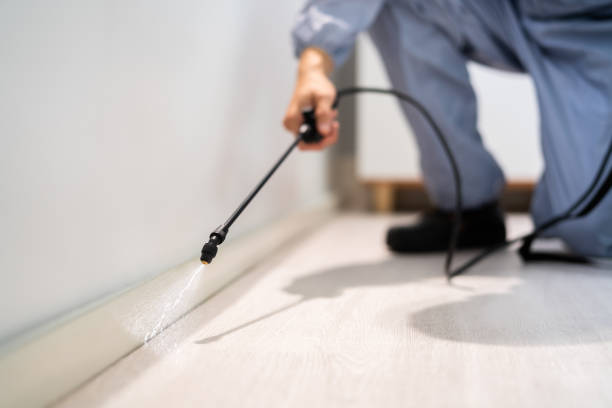 Licensed Pest Control service in Clarksville, VA - Show Me Pest Control