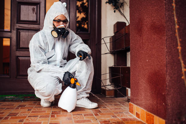 Reliable Ant Control contractor in Clarksville, VA by Show Me Pest Control